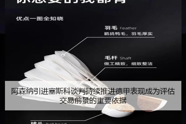 阿森纳引进塞斯科谈判持续推进德甲表现成为评估交易前景的重要依据