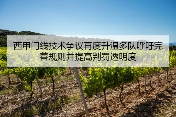 西甲门线技术争议再度升温多队呼吁完善规则并提高判罚透明度