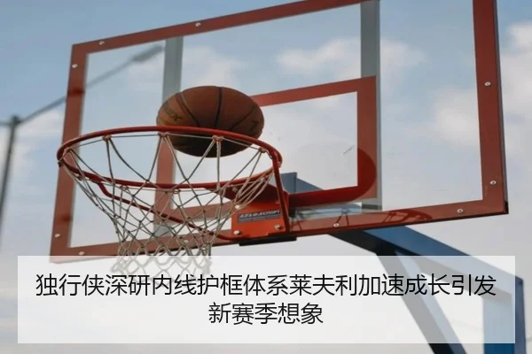 独行侠深研内线护框体系莱夫利加速成长引发新赛季想象